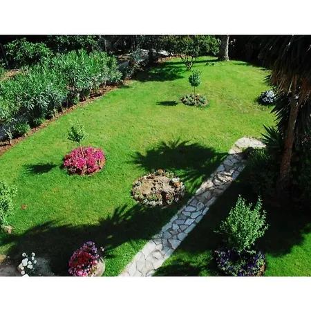 Corfu Club Economy * Danilia